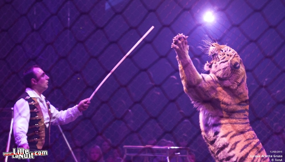 Cirque Arlette Gruss à Lille en live - photo n°68