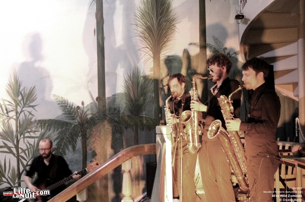 Afro Wild Zombies + Blondin au Musée d’Histoire Naturelle en live - photo n°11