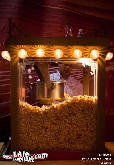 Cirque Arlette Gruss à Lille en live - photo n°5