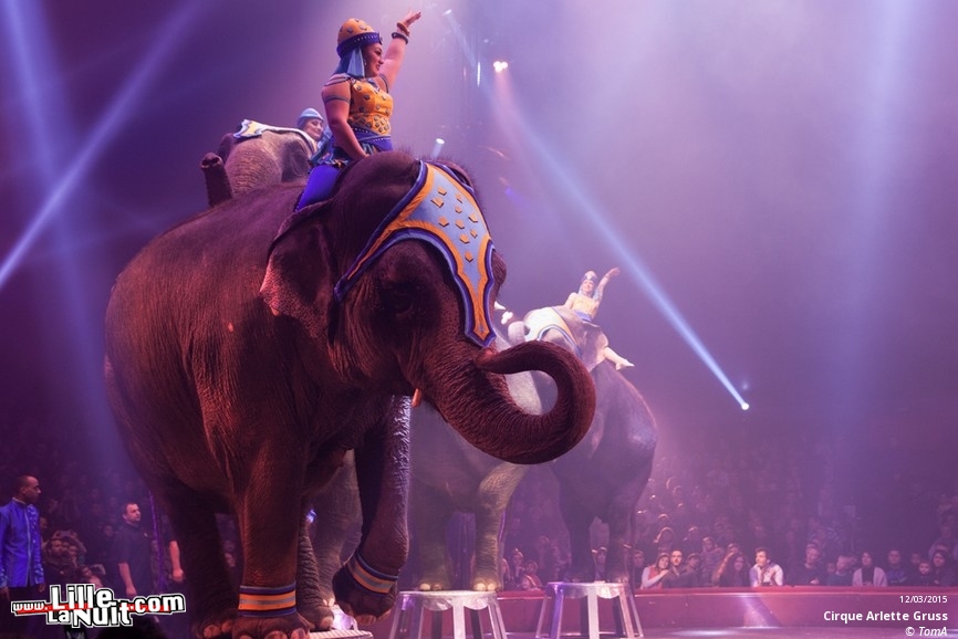 Cirque Arlette Gruss à Lille en live - photo n°77