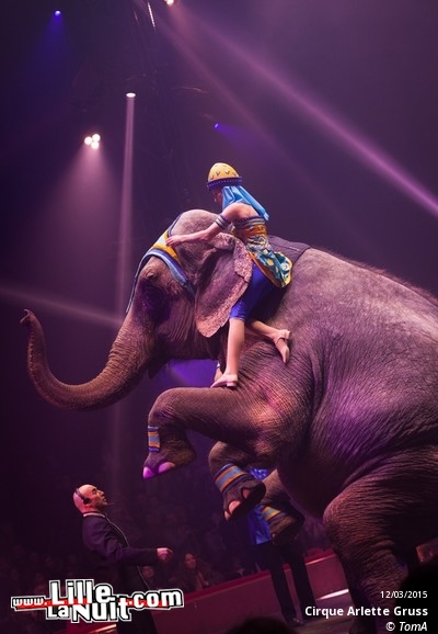 Cirque Arlette Gruss à Lille en live - photo n°79