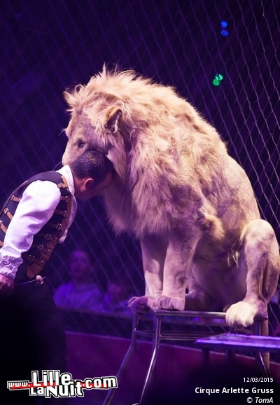 Cirque Arlette Gruss à Lille en live - photo n°64