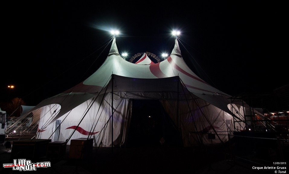 Cirque Arlette Gruss à Lille en live - photo n°125