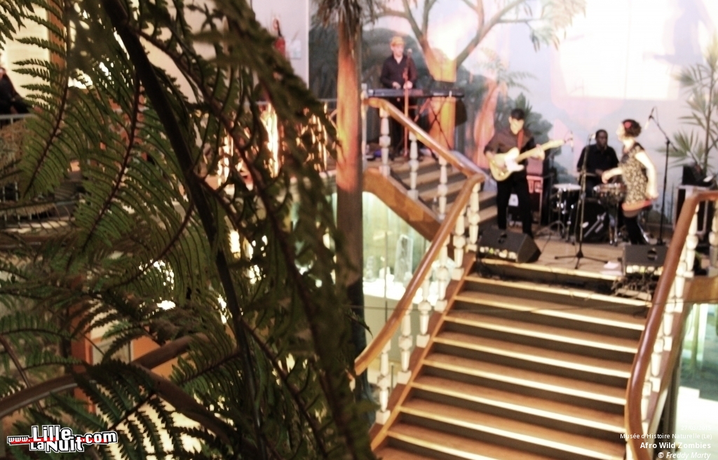 Afro Wild Zombies + Blondin au Musée d’Histoire Naturelle en live - photo n°10