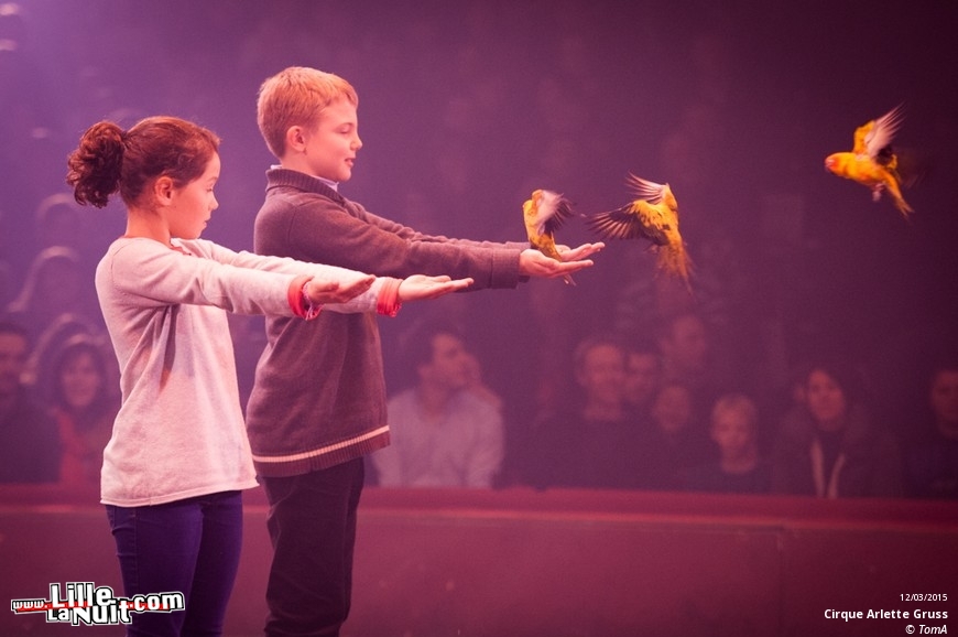 Cirque Arlette Gruss à Lille en live - photo n°14