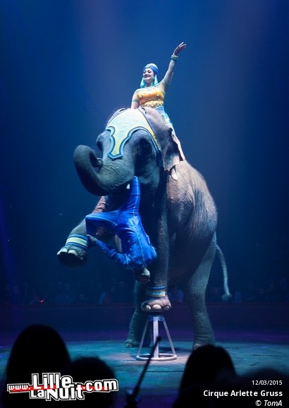 Cirque Arlette Gruss à Lille en live - photo n°73