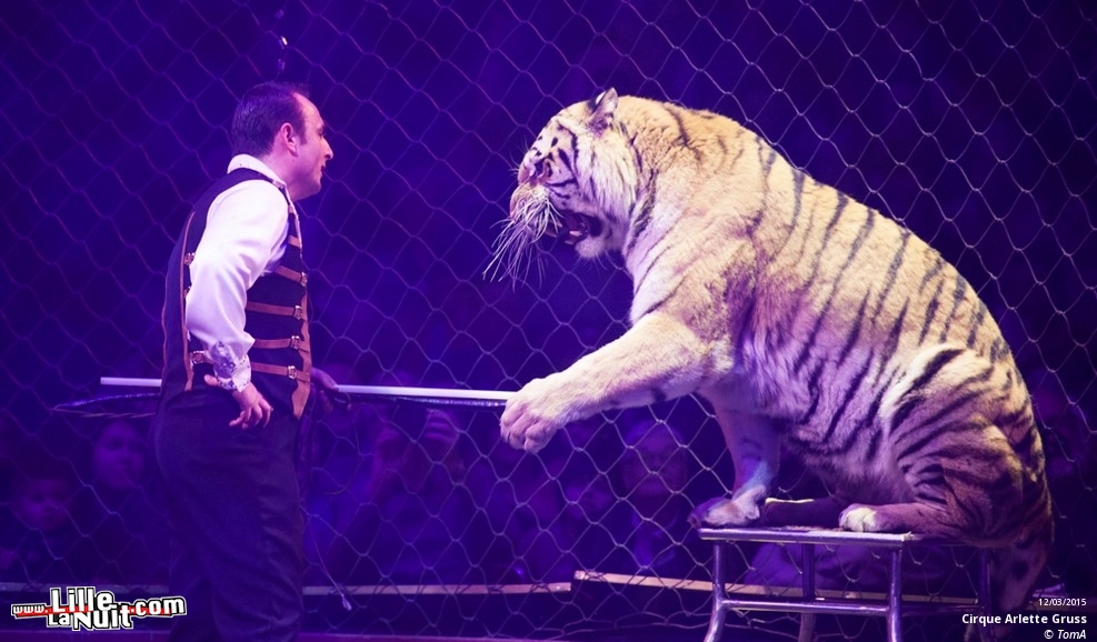 Cirque Arlette Gruss à Lille en live - photo n°66