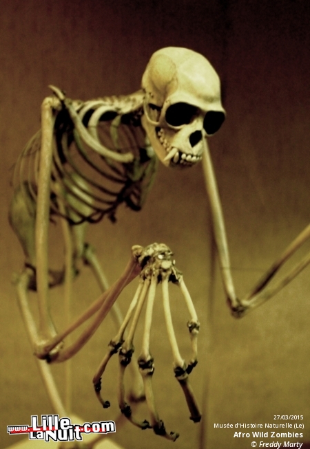 Afro Wild Zombies + Blondin au Musée d’Histoire Naturelle en live - photo n°6