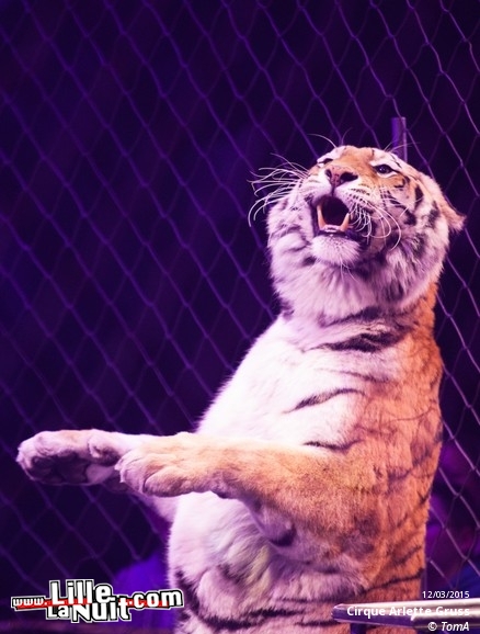 Cirque Arlette Gruss à Lille en live - photo n°67