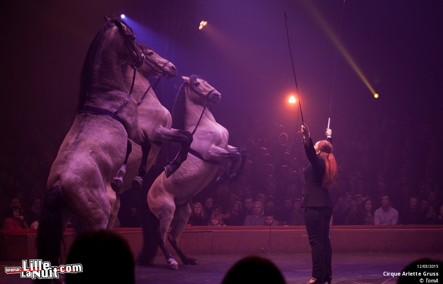 Cirque Arlette Gruss à Lille en live - photo n°45