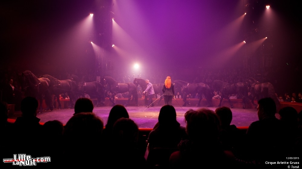 Cirque Arlette Gruss à Lille en live - photo n°44