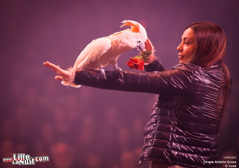 Cirque Arlette Gruss à Lille en live - photo n°13