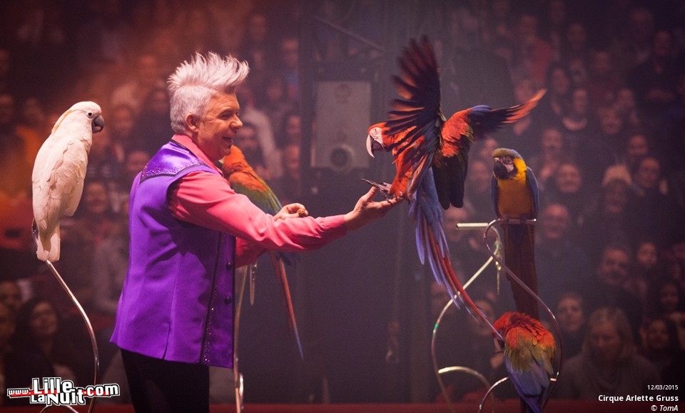 Cirque Arlette Gruss à Lille en live - photo n°19