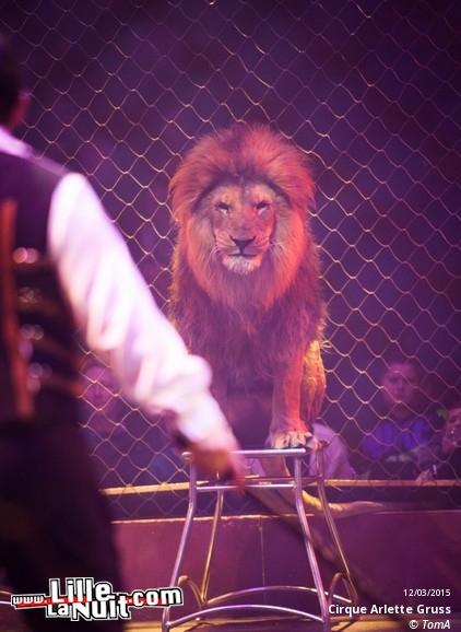 Cirque Arlette Gruss à Lille en live - photo n°61