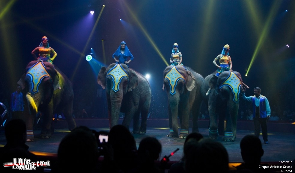 Cirque Arlette Gruss à Lille en live - photo n°74