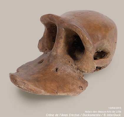 OpenMuseum #2 : Donald s’invite au Palais des Beaux-Arts en live - photo n°1