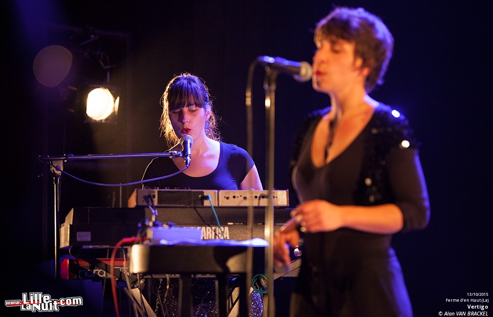 Lonelady + Stephen Mallinder + Vertigo à la Ferme d’en haut en live - photo n°23