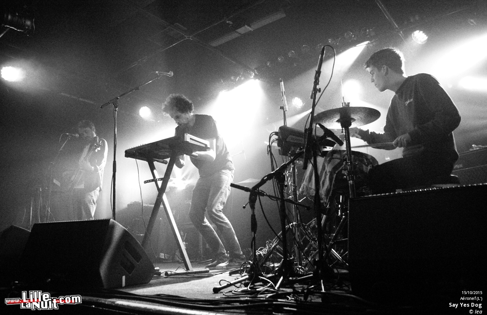 Is Tropical + Say Yes Dog à l’Aéronef en live - photo n°1