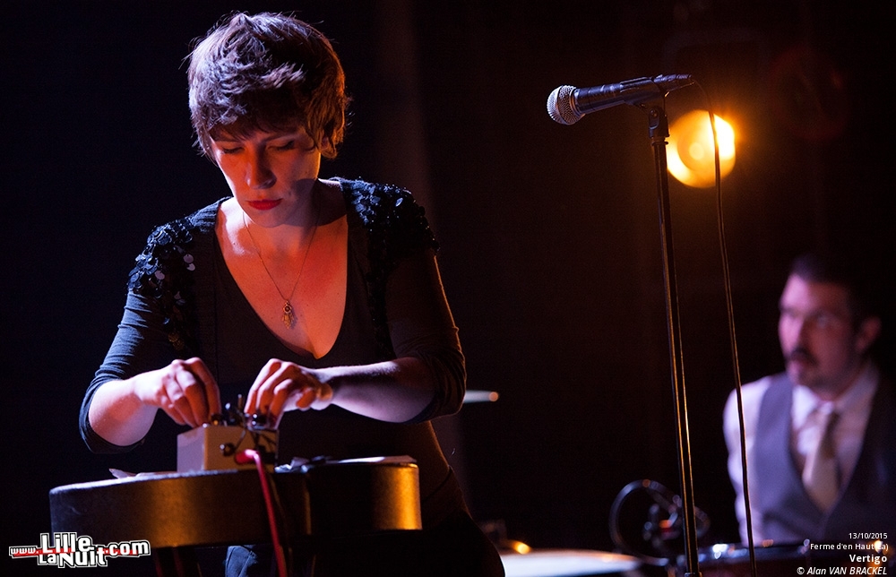 Lonelady + Stephen Mallinder + Vertigo à la Ferme d’en haut en live - photo n°17