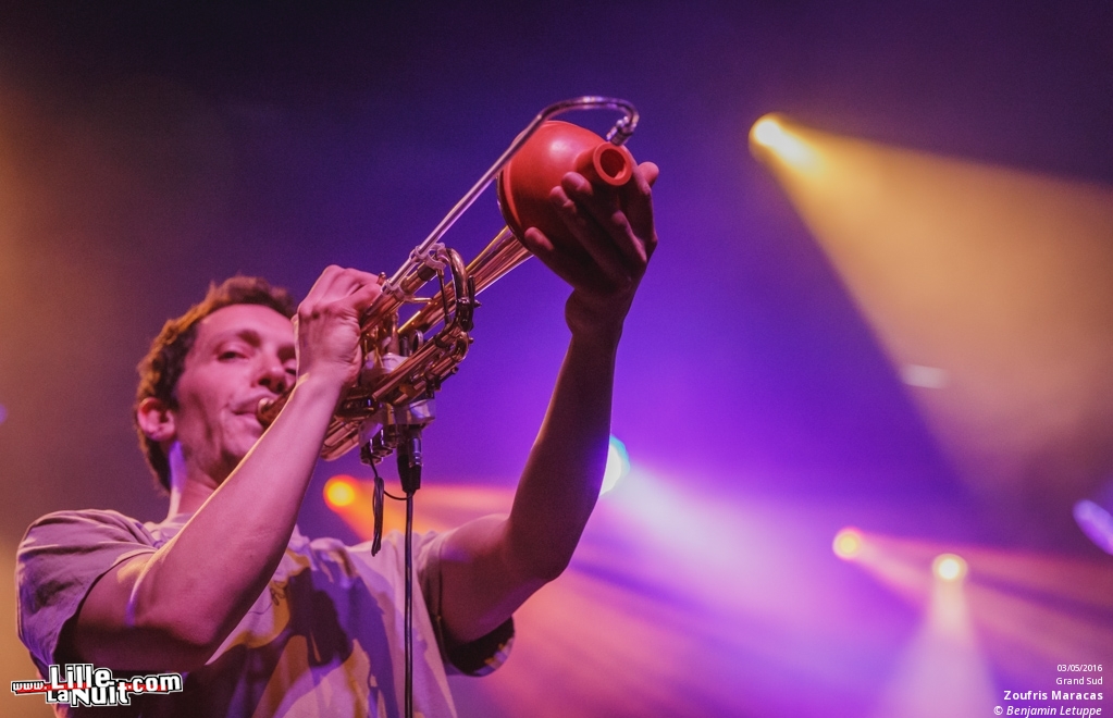Zoufris Maracas + Soviet Suprem au Grand Sud à Lille – Wazemmes l’Accordéon 2016 en live - photo n°8