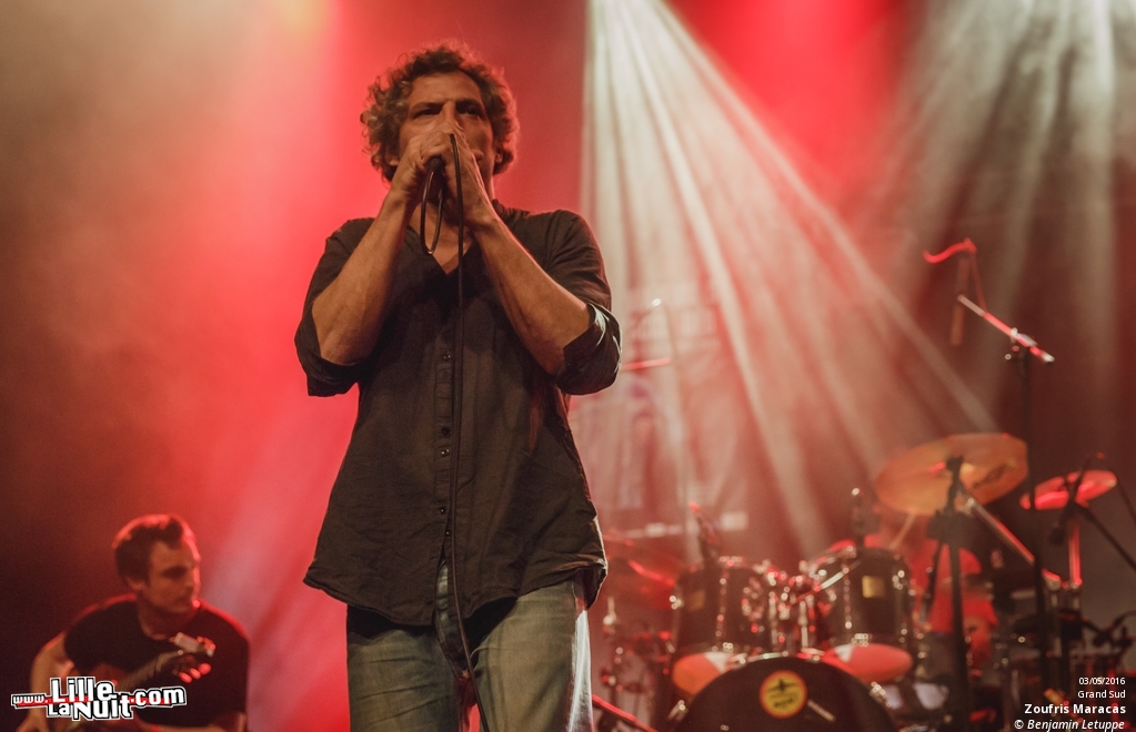 Zoufris Maracas + Soviet Suprem au Grand Sud à Lille – Wazemmes l’Accordéon 2016 en live - photo n°10