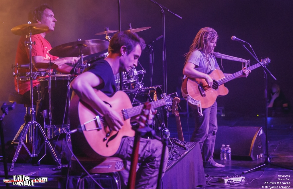 Zoufris Maracas + Soviet Suprem au Grand Sud à Lille – Wazemmes l’Accordéon 2016 en live - photo n°13