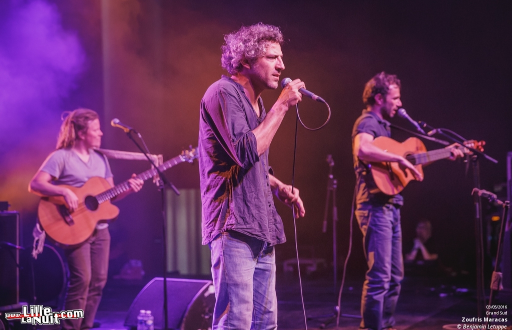 Zoufris Maracas + Soviet Suprem au Grand Sud à Lille – Wazemmes l’Accordéon 2016 en live - photo n°17
