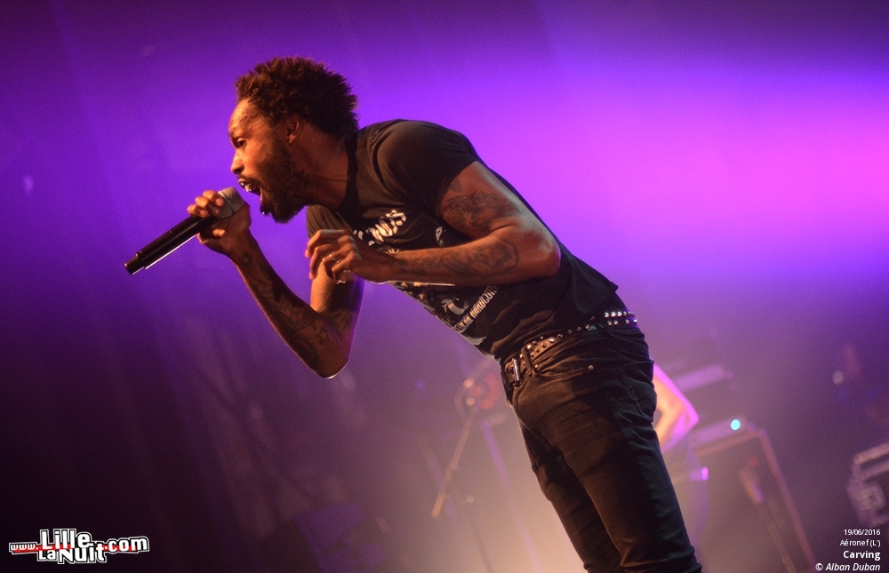 ANTIFest : Anti-Flag + Carving + Boysetsfire + Wolf Down à l’Aéronef en live - photo n°11