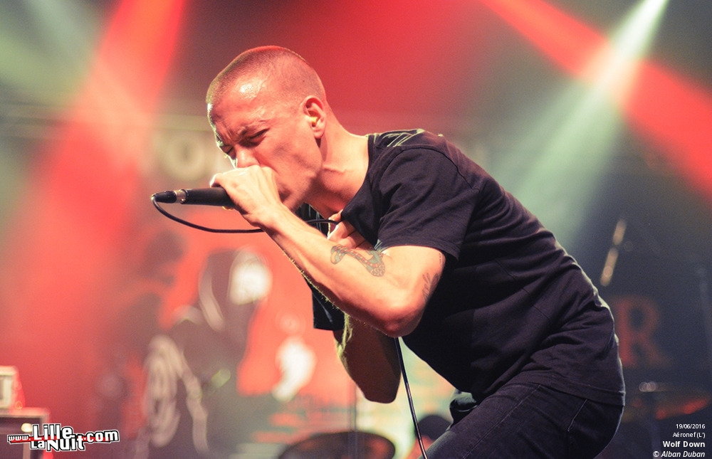 ANTIFest : Anti-Flag + Carving + Boysetsfire + Wolf Down à l’Aéronef en live - photo n°3