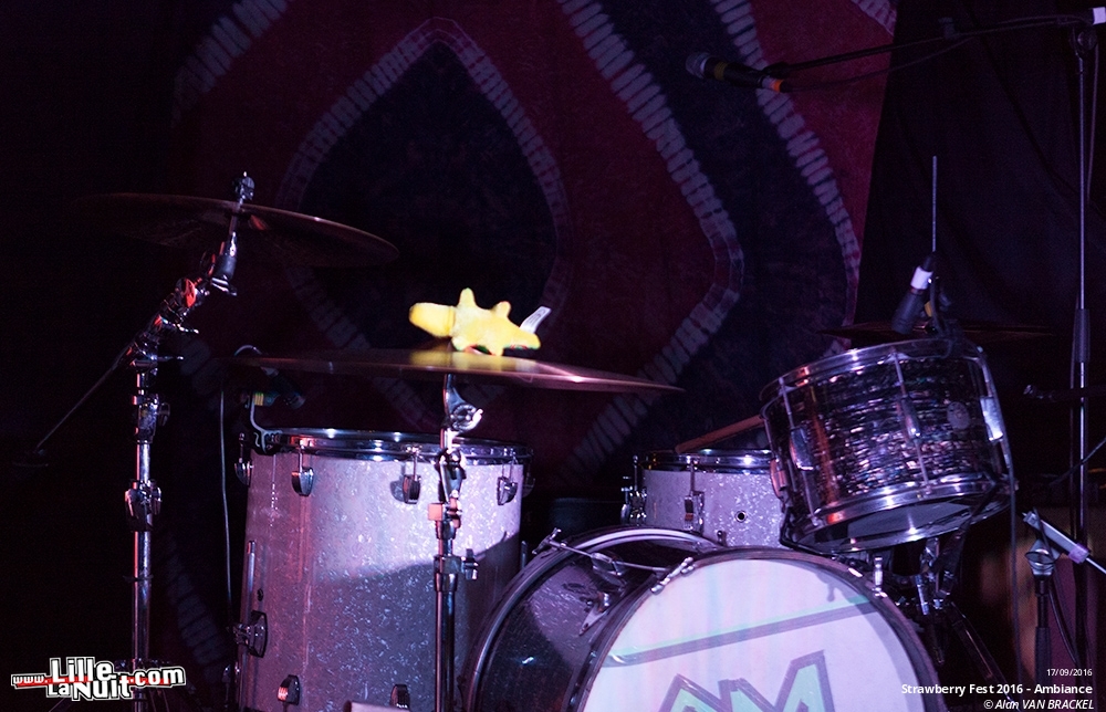 Strawberry Fest 2016 à la Péniche de Lille – jour 1 : Camera + Klaus Johann Grobe + Shadow Motel + Tapeworms en live - photo n°5