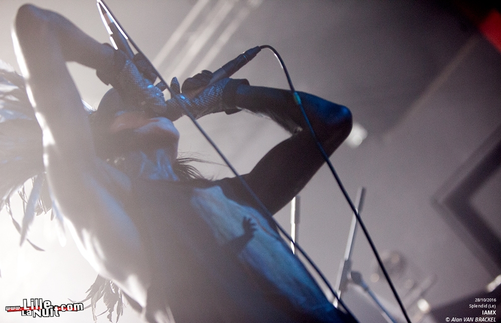 IAMX au Splendid de Lille en live - photo n°21