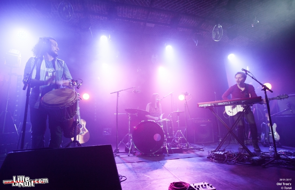 Peter Harper + Old Tree’z au Poche de Béthune en live - photo n°7