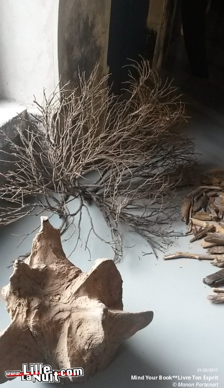 Mind Your Book**Livre ton Esprit à la Maison Folie Wazemmes en live - photo n°13