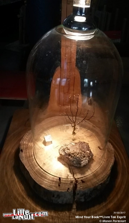 Mind Your Book**Livre ton Esprit à la Maison Folie Wazemmes en live - photo n°11