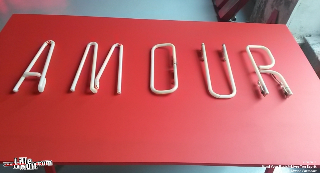 Mind Your Book**Livre ton Esprit à la Maison Folie Wazemmes en live - photo n°1