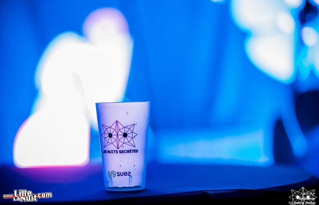 Festival Les Nuits Secrètes 2017 en live - photo n°18