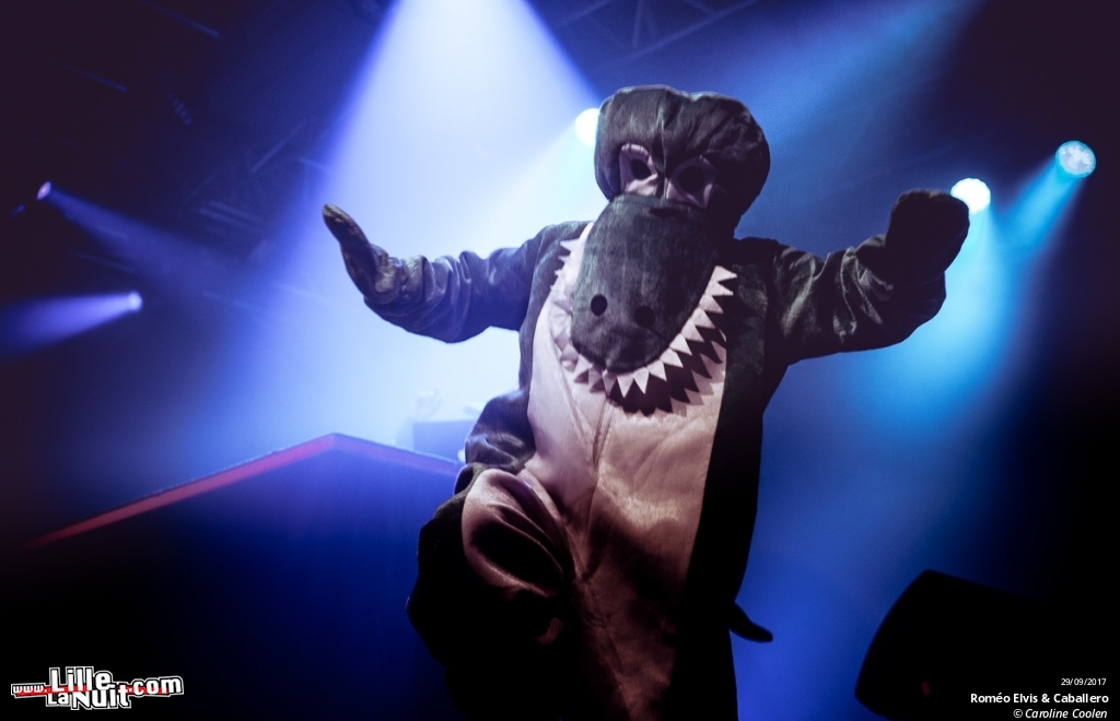 Festival Poulpaphone 2017 en live - photo n°5