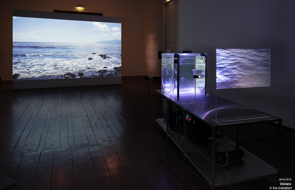 Océans, plongée dans le monde marin au Fresnoy en live - photo n°1