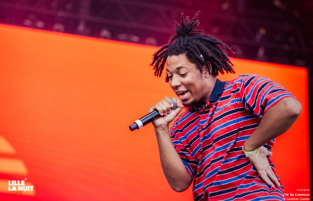 Dour Festival – les 30 ans ! en live - photo n°3