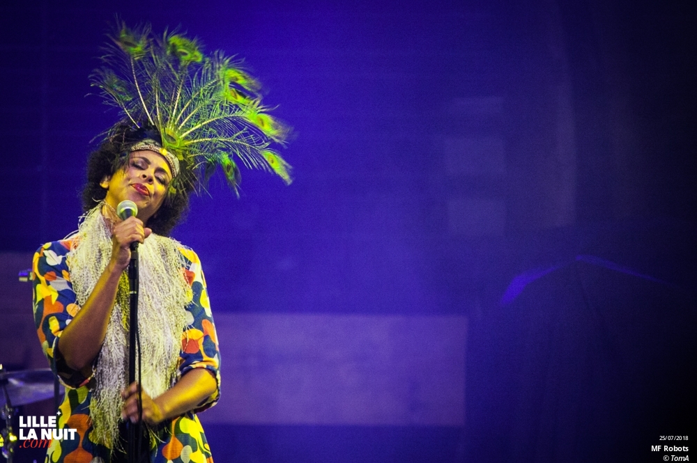 Lenny Kravitz + MF Robots au Zénith de Lille en live - photo n°1