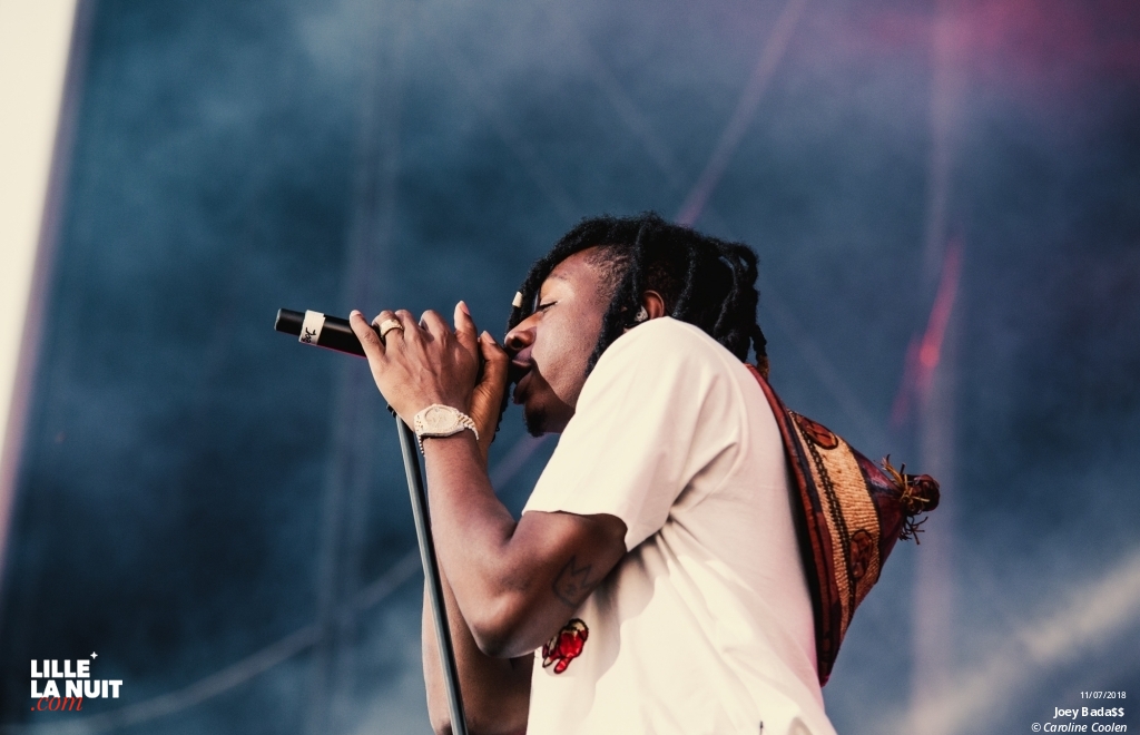 Dour Festival – les 30 ans ! en live - photo n°2