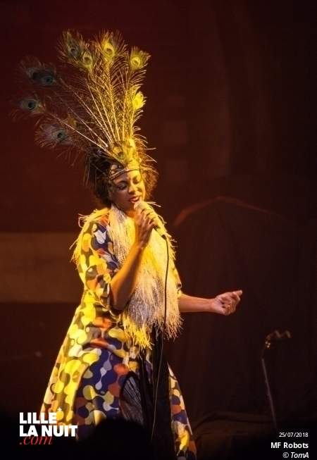 Lenny Kravitz + MF Robots au Zénith de Lille en live - photo n°9