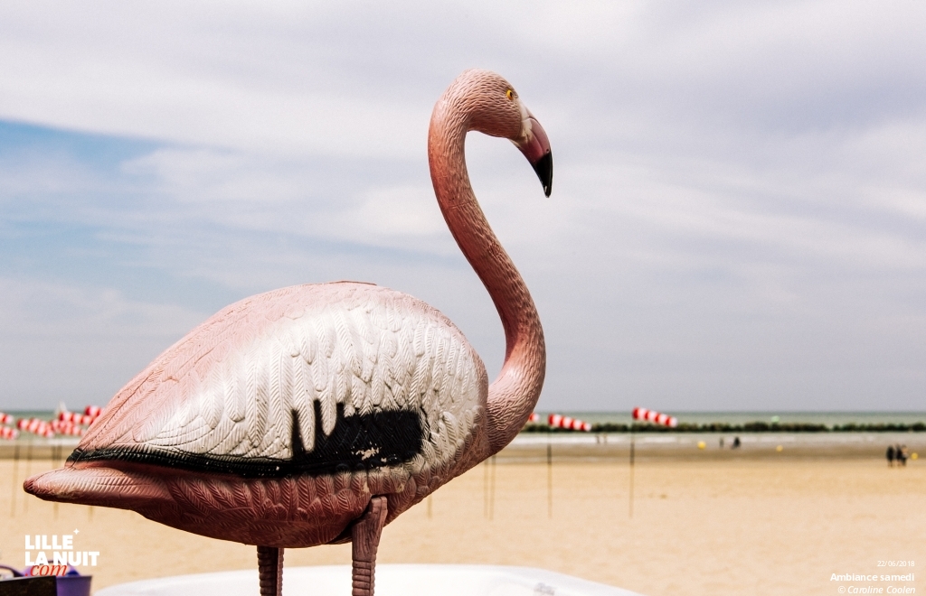 La Bonne Aventure Festival en live - photo n°2