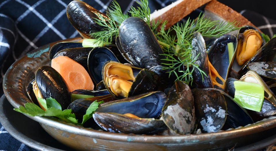 Moules marinière et frites fraîches, comme à la Braderie de Lille