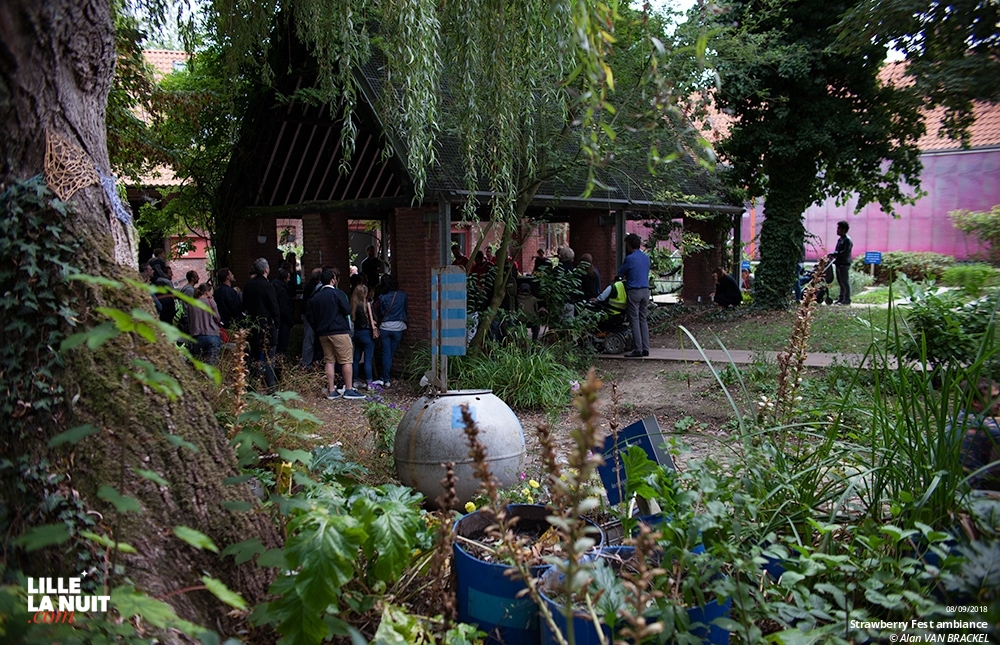 Strawberry Fest : Holy Wave + Ulrika Spacek + Wild Racoon + June & Lena à la Ferme d’en Haut en live - photo n°2