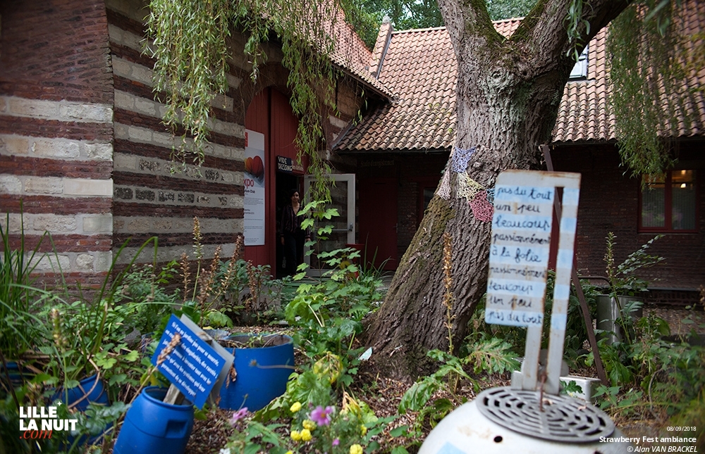 Strawberry Fest : Holy Wave + Ulrika Spacek + Wild Racoon + June & Lena à la Ferme d’en Haut en live - photo n°3