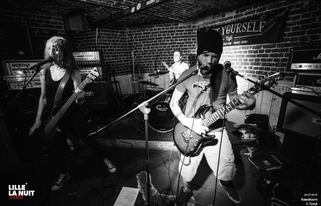 Fear Mother Rage + Dear Liars + Hawthorn au Do It Yourself en live - photo n°1