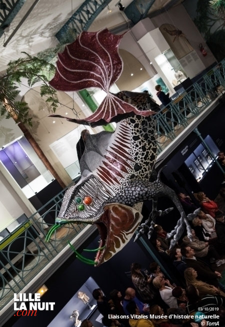 Liaisons Vitales, l’expo sur l’entraide dans le monde animal au Musée d’histoire naturelle en live - photo n°4