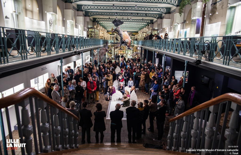 Liaisons Vitales, l’expo sur l’entraide dans le monde animal au Musée d’histoire naturelle en live - photo n°1