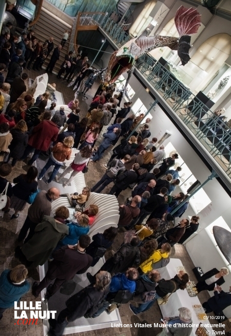 Liaisons Vitales, l’expo sur l’entraide dans le monde animal au Musée d’histoire naturelle en live - photo n°5